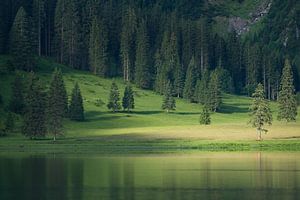 Ufer des Vilsalpsees