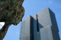 this smells like Rotterdam!