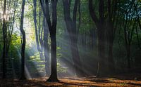 Catching beams