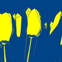 TULPE