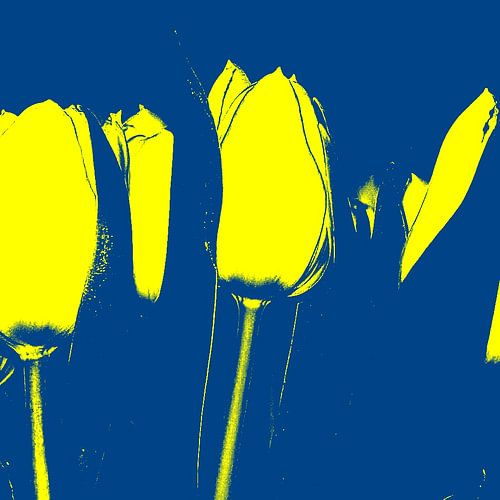 TULPE