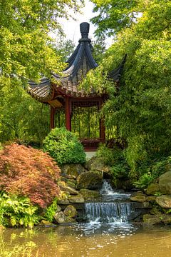 Jardin chinois sur Bram van Broekhoven