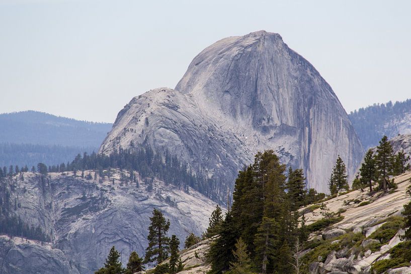El Capitan in Yosemite National Park van Henk Alblas