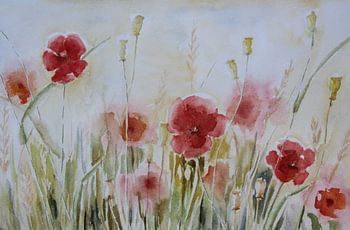 Aquarell Feld mit Mohnblumen