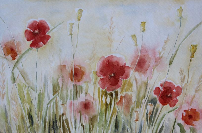Watercolour Field with poppies by Anja Zinken Bertens
