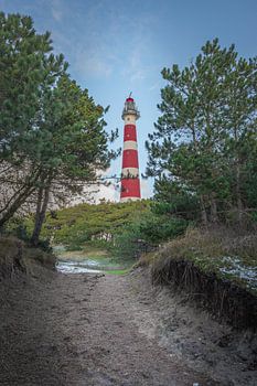 Bospad naar de vuurtoren, Bornrif, Ameland