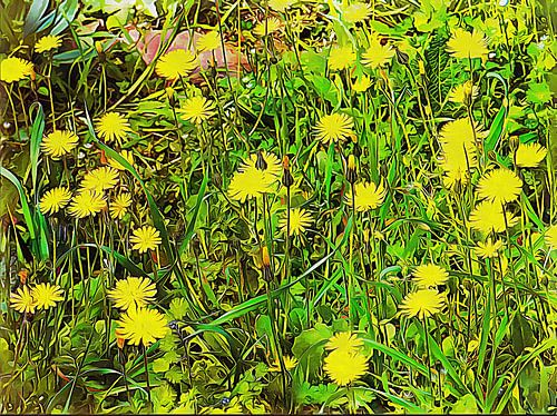 Wij zijn een wereld van paardenbloemen