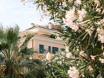 Hotel hidden among palm trees by Marika Huisman fotografie