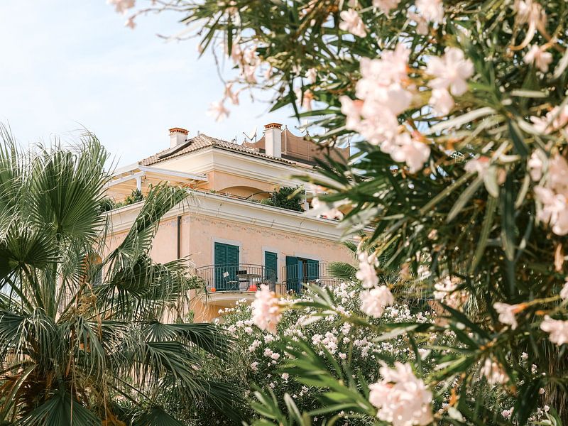 Hôtel caché au milieu des palmiers par Marika Huisman fotografie
