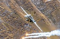 Rapide et fort ! Un Boeing F/A-18C Hornet suisse vole à basse altitude au-dessus du champ de tir des par Jaap van den Berg Aperçu