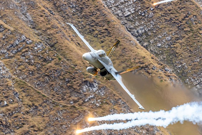 Rapide et fort ! Un Boeing F/A-18C Hornet suisse vole à basse altitude au-dessus du champ de tir des par Jaap van den Berg