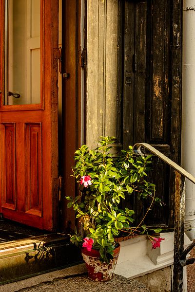 Porte Rouge &amp; Pot Fleuri – Scène de Seuil Chaleureuse par Brave Toaster Photos