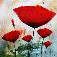MOHNBLUMEN