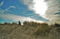 Zomer in Zeeland