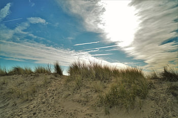 Zomer in Zeeland