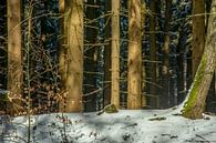 Natur und Landschaft im Erzgebirge von Johnny Flash Miniaturansicht