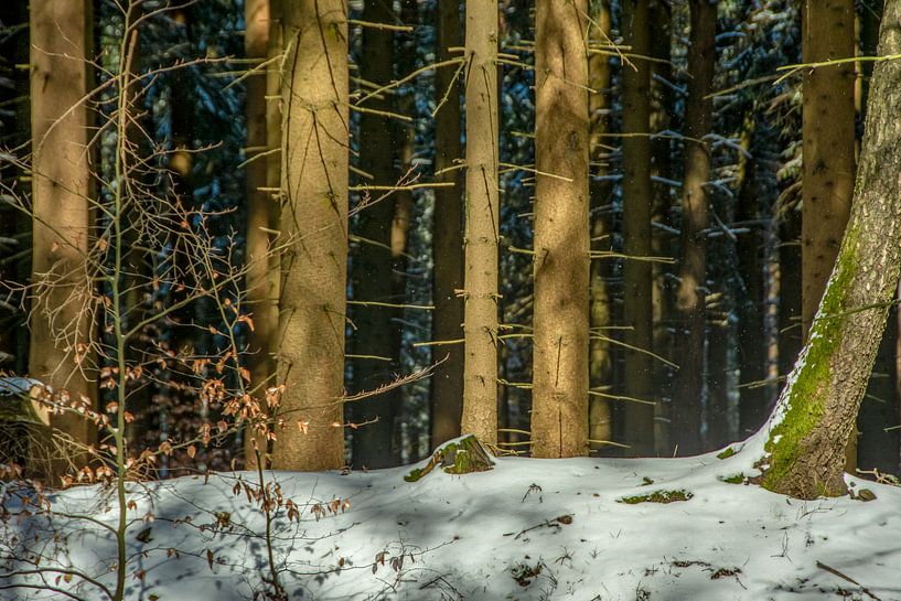 Natur und Landschaft im Erzgebirge von Johnny Flash