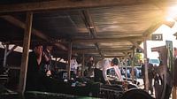 Paddock Zonsopkomst Goodwood Revival 2019