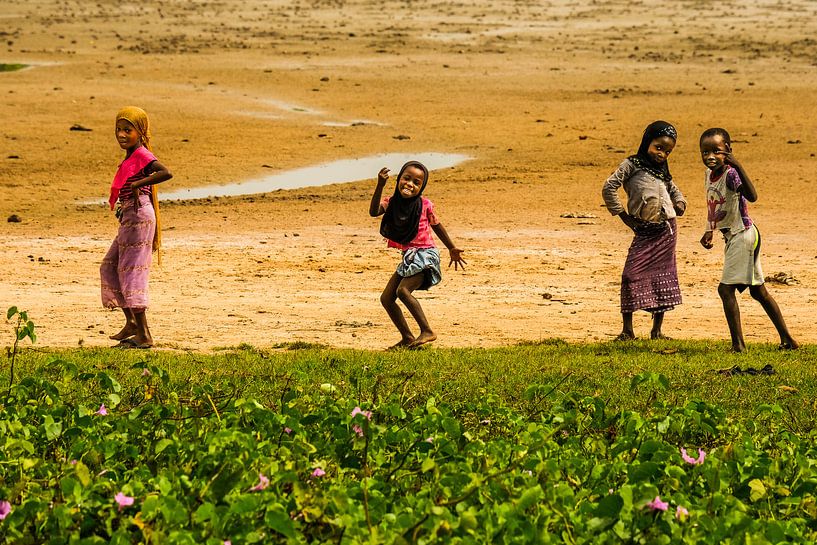Afrikaanse kinderen, arm maar zo vrolijk par Susan van der Riet