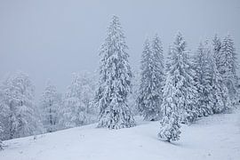 Winter in den Bergen von Ulrich Kuschel