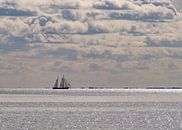 Bateau à voile sur une mer des Wadden argentée par Arie Jan van Termeij Aperçu