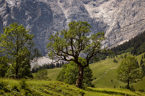 Grote Ahornboden in het natuurpark Karwendel in het Risstal, Hinterriss van Thomas Heitz
