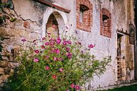 Old farmhouse facade