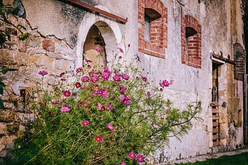 Old farmhouse facade by Angelique Niehorster