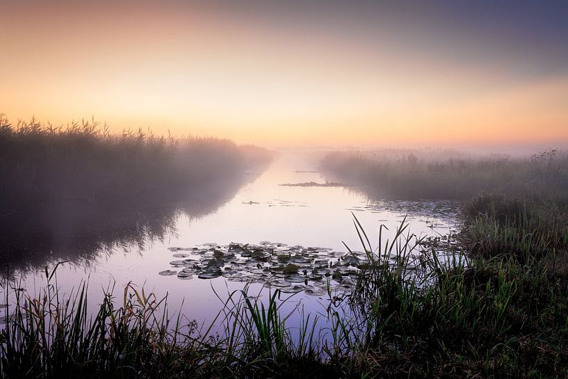 Graben Leekstermeergebied in De Onlanden bei Nebel in Pastellfarben von R Smallenbroek