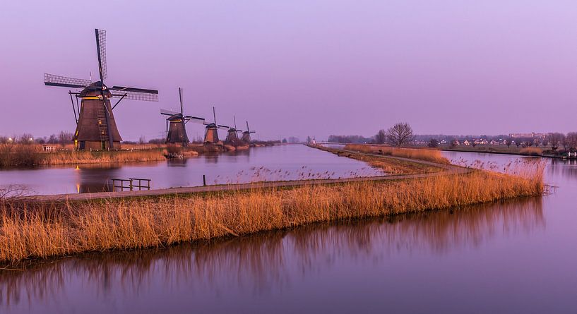 Kinderdijk von Carla Matthee