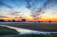 Grazende paarden bij zonsondergang aan de stadsrand van Groningen van Evert Jan Luchies thumbnail