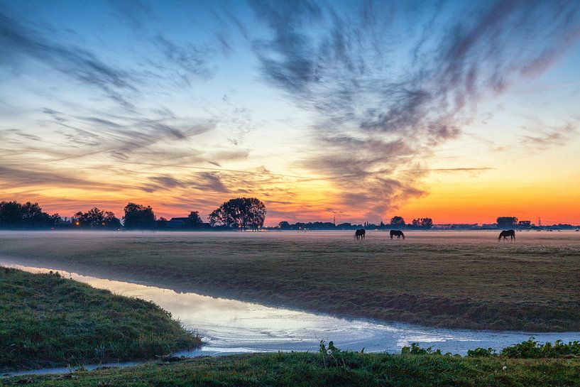 Grazende paarden bij zonsondergang aan de stadsrand van Groningen van Evert Jan Luchies