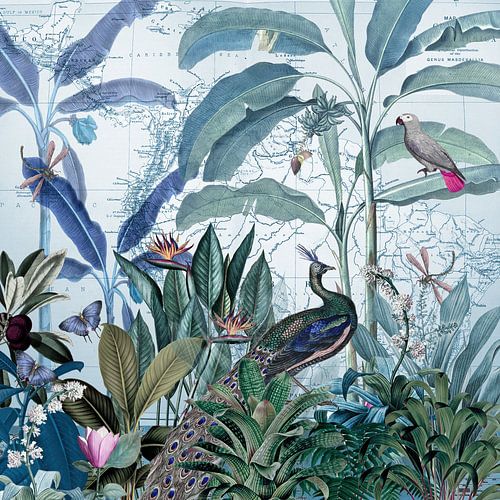 The peacock inspects its tropical realm