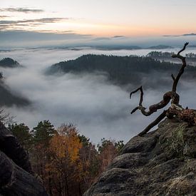 November fog by Sergej Nickel