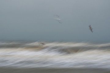 ICM - long exposure beach 1