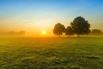 Dutch landscape with rising sun. Photo taken in Amelisweerd in Utrecht.