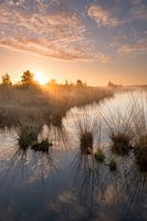 Ochtend reflecties