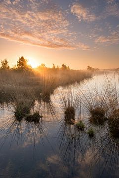 Ochtend reflecties van Raoul Baart