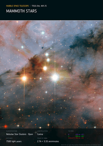 Mammoth stars