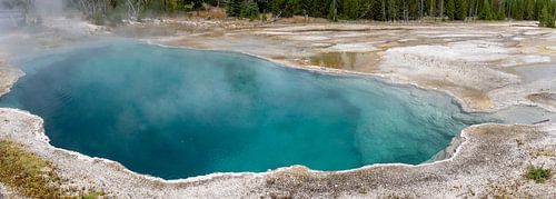 West Thumb Geyser Basin, Yellowstone National Park, USA