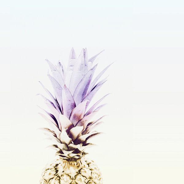 PASTEL PINEAPPLE no3 par Pia Schneider