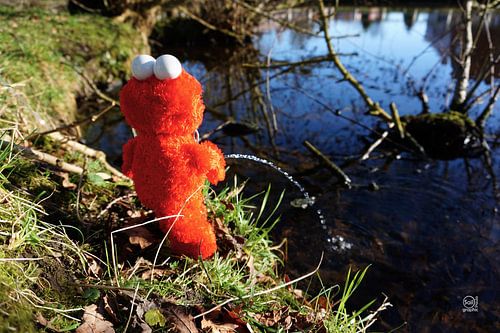 Elmo urinating at the water's edge.