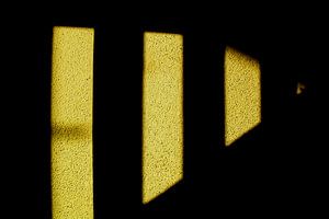 Shadows 7.