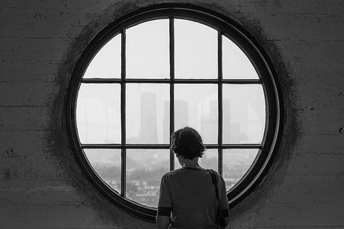 Vous rêvez de la vue de Rotterdam sur MS Fotografie | Marc van der Stelt