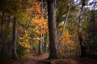 Vught - Netherlands
