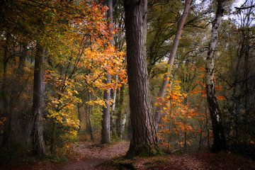 Vught - Pays-Bas