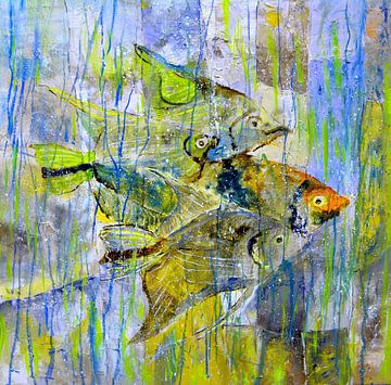 Tropical fish sur pol ledent