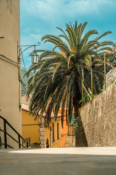 Summer vibes by Lima Fotografie