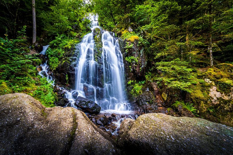 Cascade de la Pissoire, France by Lex van Lieshout
