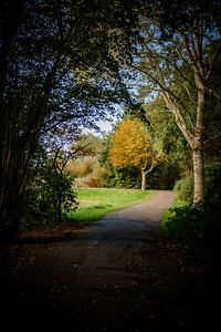 Erste Herbstfarben